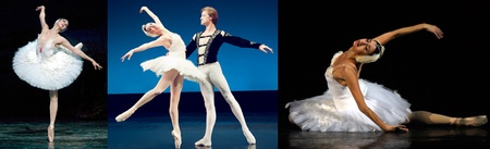 Лебедине озеро