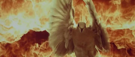 Кадри з фільму